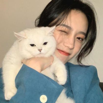 扑克牌战术接龙