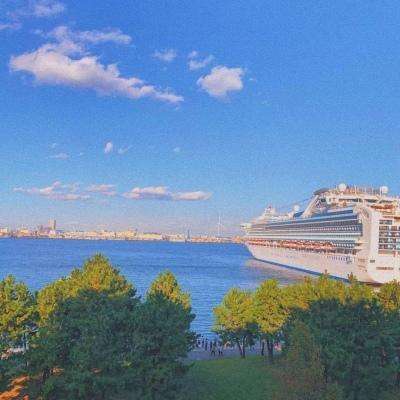 疯狂农场3:美国派