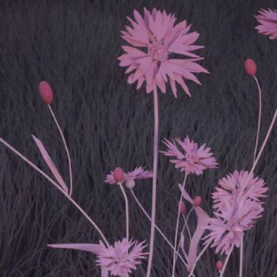 飞机场跑道停靠