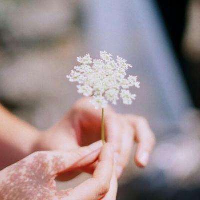 坦克对轰2无敌版