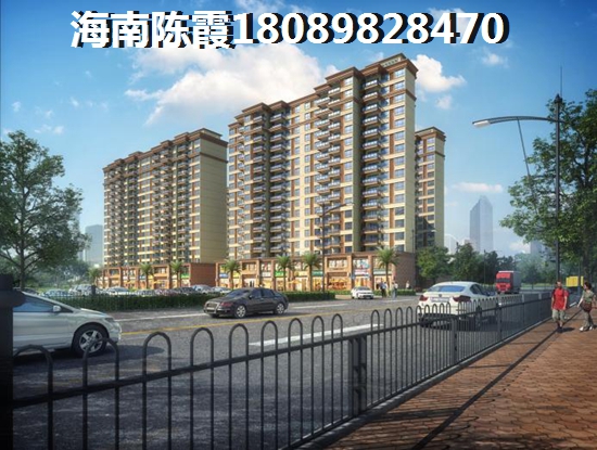 文安星海豪庭·境界二室一厅 一居  户型图