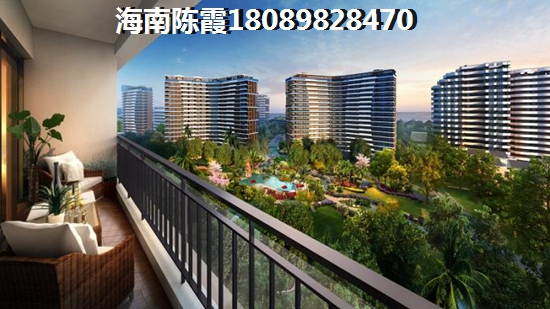 天佑·爱上岛 三居  户型图