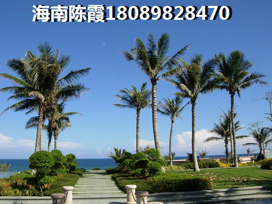 霸州.观城兰苑 一居 47㎡ 户型图