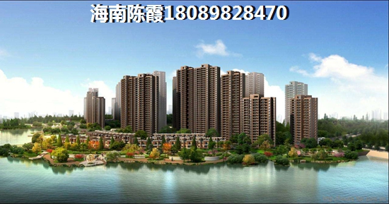 香河孔雀城 温莎郡香河大运河孔雀城 一居 85㎡ 户型图