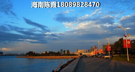 香河荣盛·花语城 一居  户型图