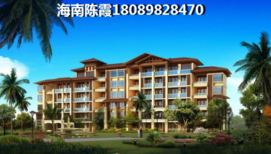 星河湾安语公寓 一居 55㎡ 户型图