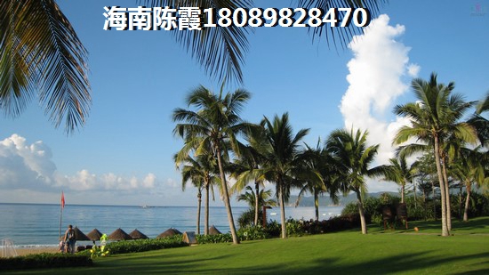 苏荷糖 建筑规划 