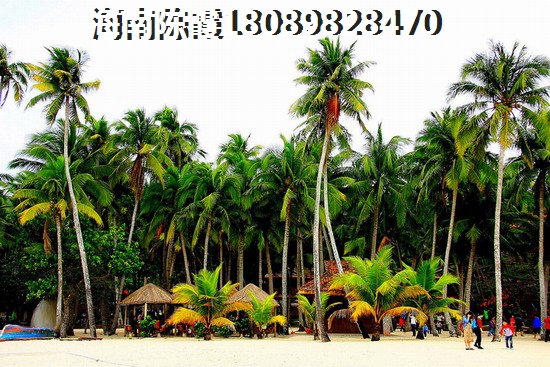 香城郦舍 景观园林 