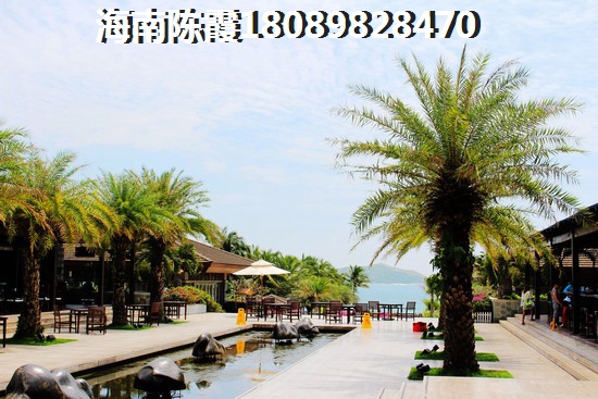 空港v -work智慧谷 样板间 买一层赠一层挑高5.6米