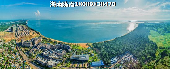 纽约公园