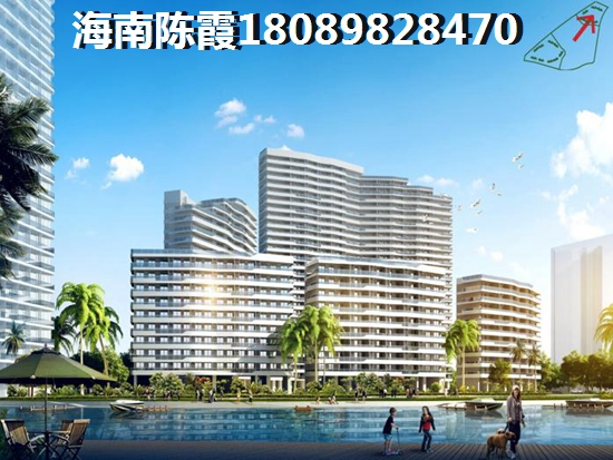 泰富橄榄树